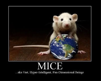 MiceVast.jpg