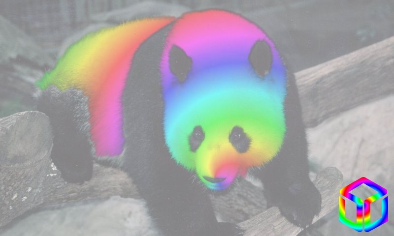 RainbowPanda.jpg