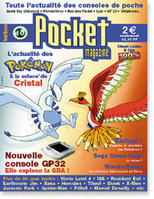 pocket_10_large.jpg