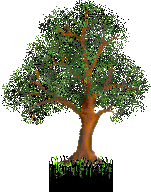 0000-1111-tree.png