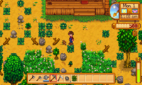 stardewvalley11.png