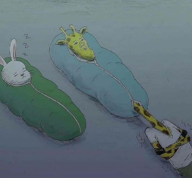 4VbdGFlH.jpeg