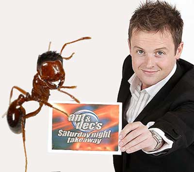 ant-dec.jpg