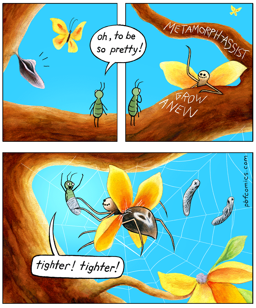 PBF279-Metamorph-Assist.png