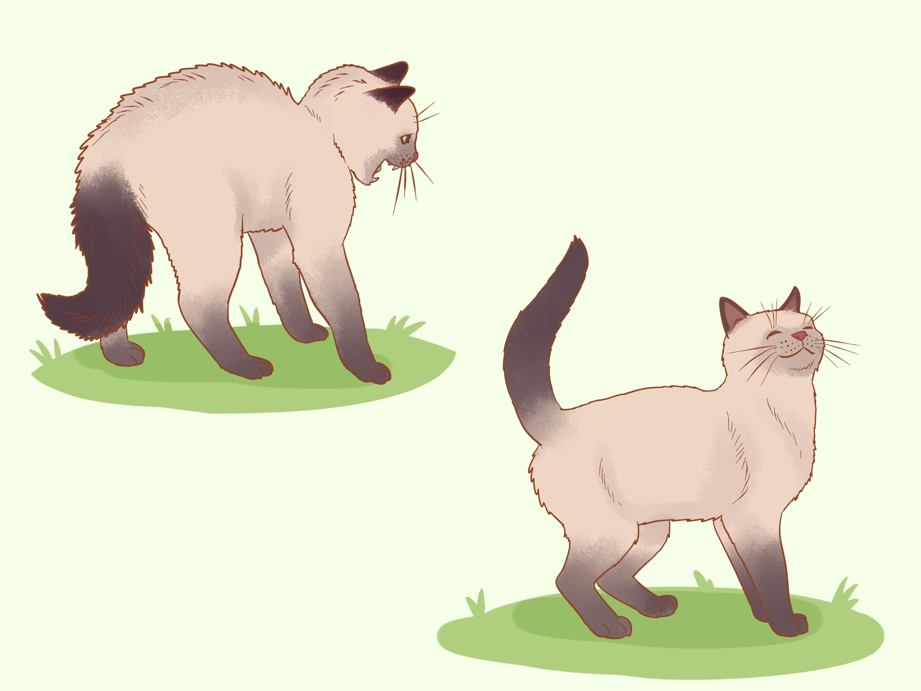 www.wikihow.com