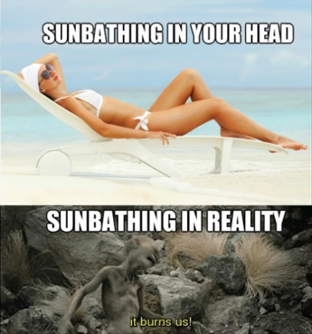 funny-sun-bathing.jpg