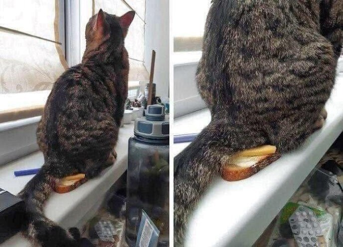 JUXmHfEU.jpg
