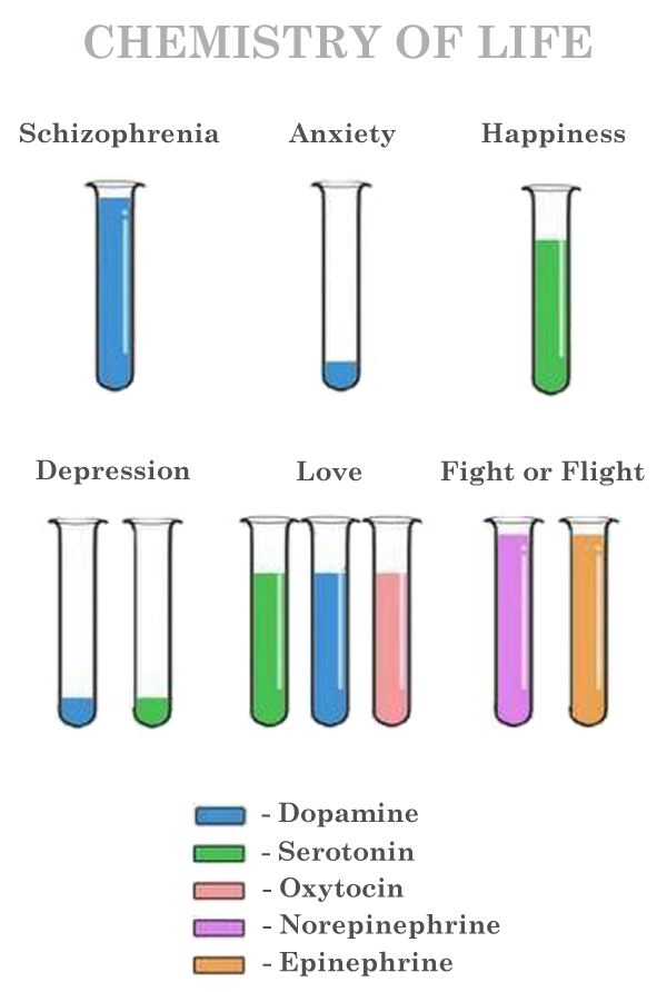 the-chemistry-of-life.png