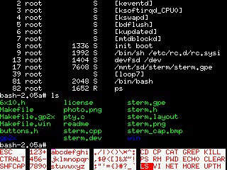 sterm_cap.png