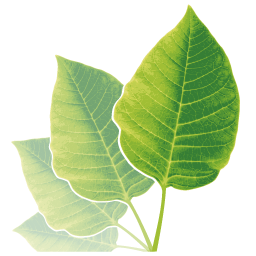 blog.agchemigroup.eu
