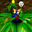 siactro.itch.io