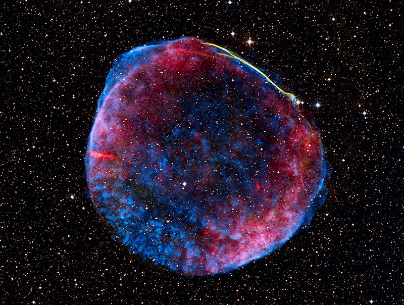 sn1006c_c800.jpg