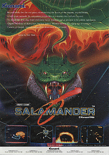 Salamander_flyer.png