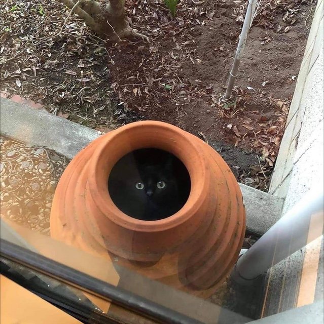 by229y7l60i71.jpg