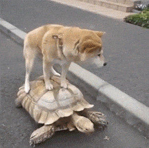 lHGVyKLc.gif