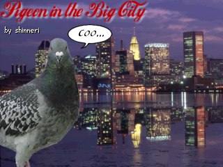 pigeon.jpg