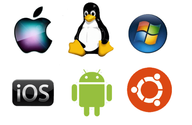 009183e315dbb1a62bfff295bfa710d9.png