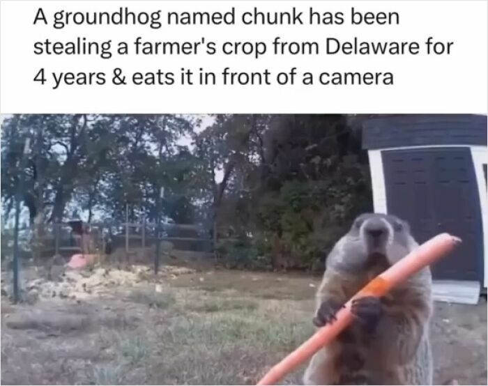 zLCZuxYR.jpg