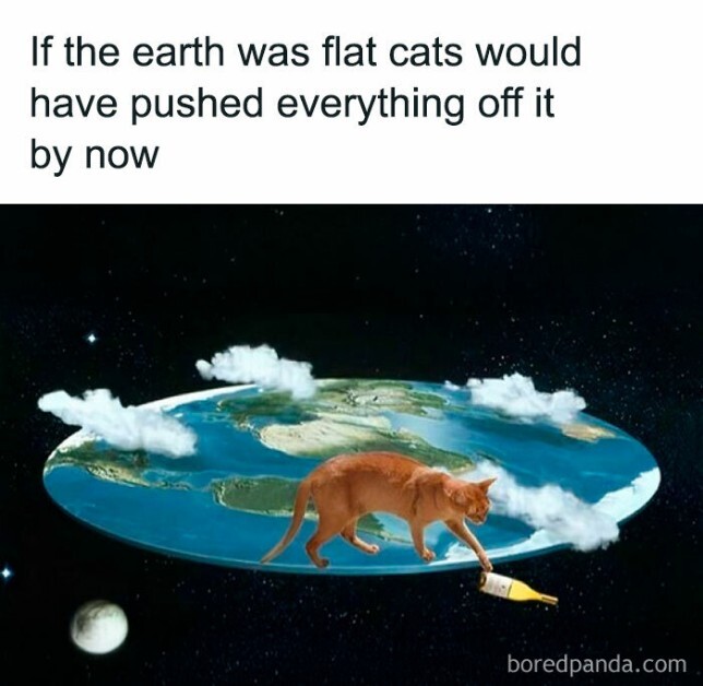 arLm3xTn.jpg