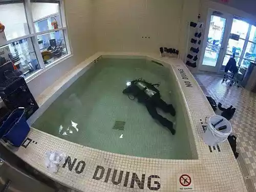 funny-do-what-i-want-no-diving.png