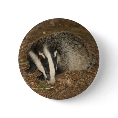 brockwatch_badger_badge_button-p145138090680857572en8go_400.jpg