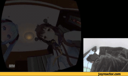 oculus-rift-anime-Hatsune-Miku-Vocaloids-1016351.gif