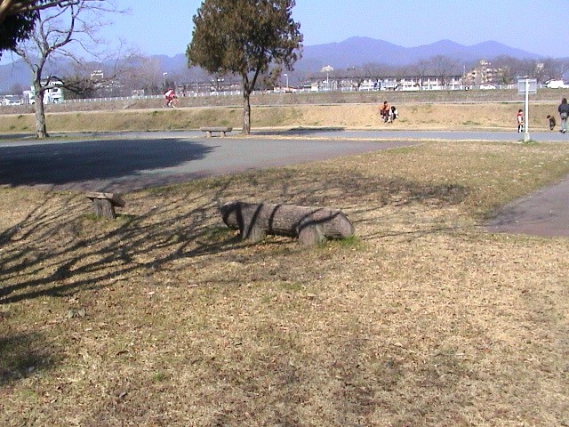 animal1.jpg