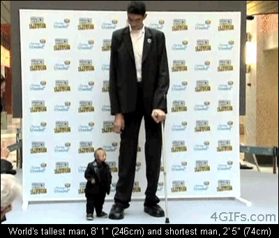 Worlds-tallest-shortest-men.gif