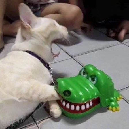 rjZHY5IF.png