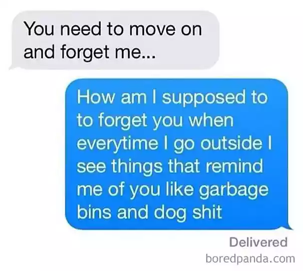 funny-texts-from-exes-7-59d613c8a8cef_605.png