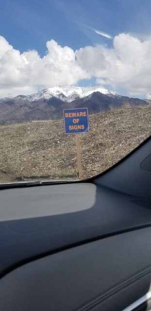 m6ZOHBsq.jpeg