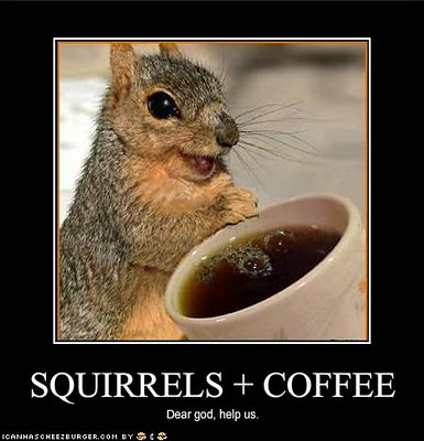 squirrel+coffee.jpg