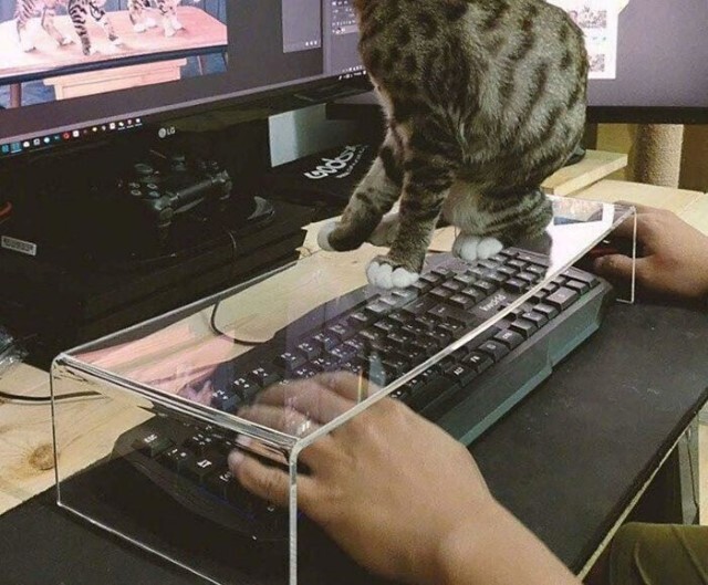 LrbYnKjb.jpg