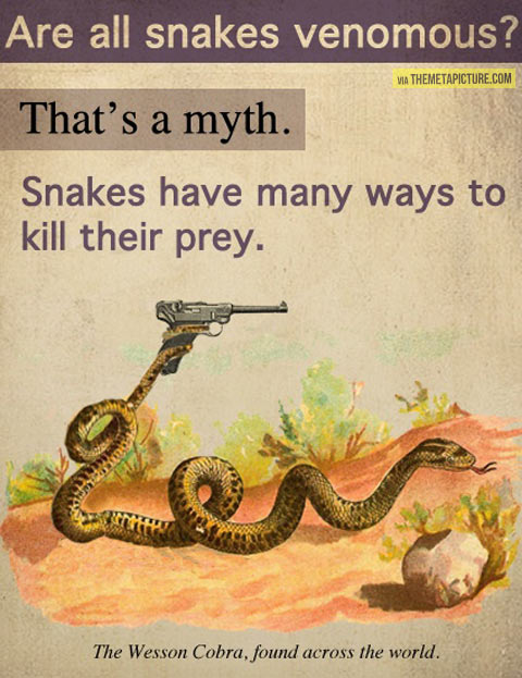 funny-snake-weapon-Cobra1.jpg