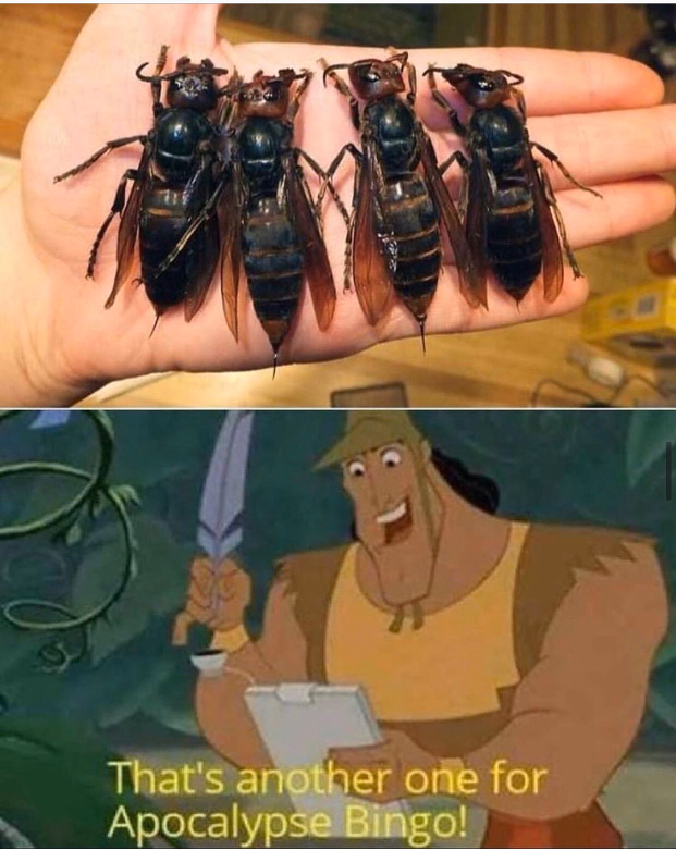 image0.png