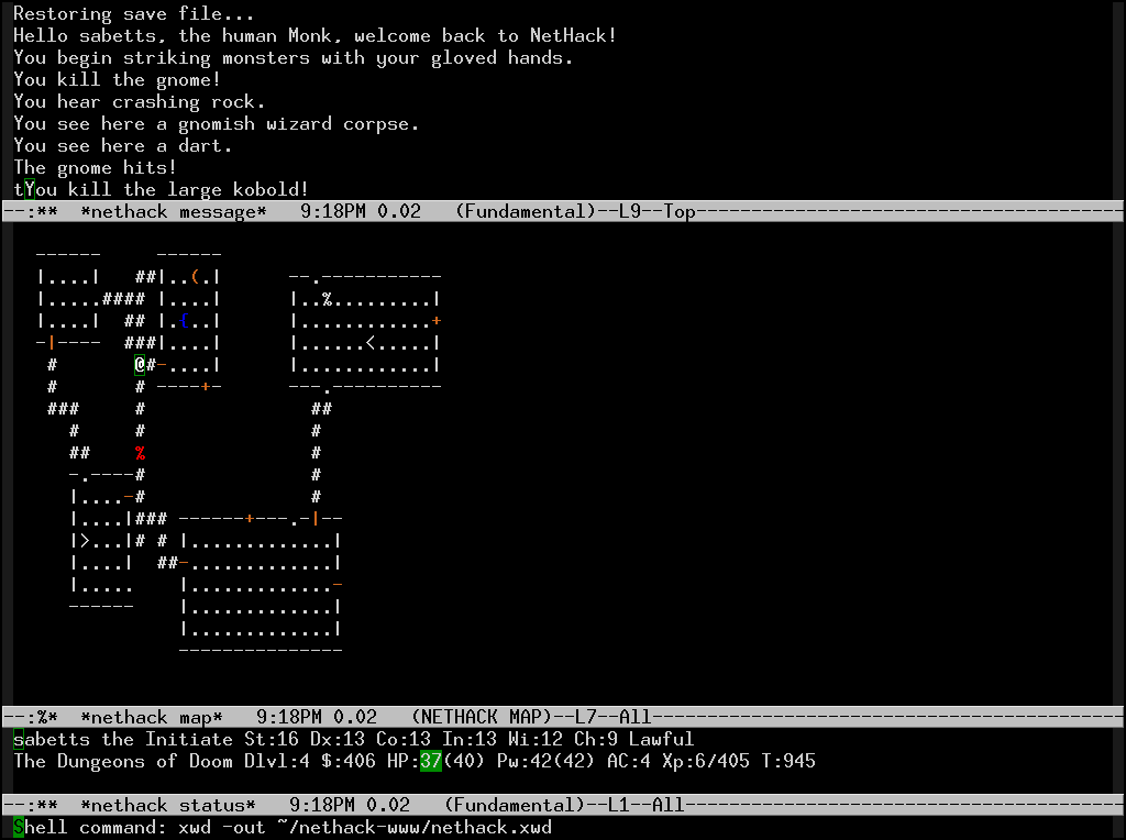 nethack.png