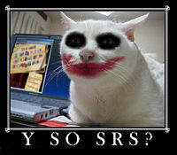 why-so-serious-cat1.jpg