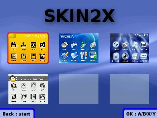 skin2x.jpg
