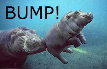 189873d1376046476-bump-thread-hippo_bump_zpsccf11b1e.jpg