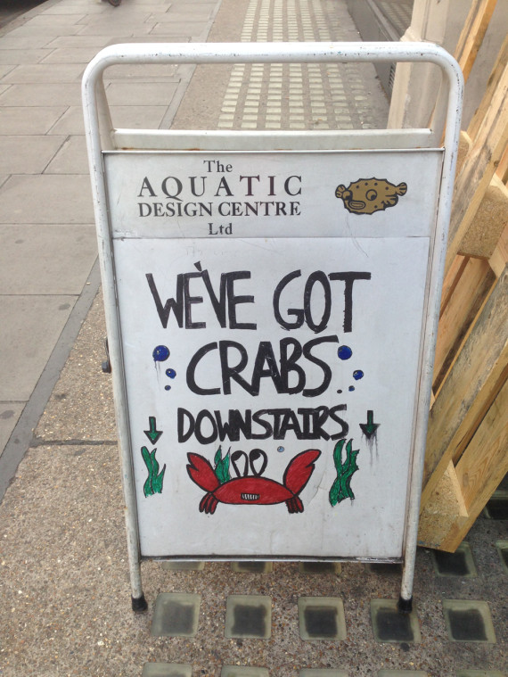 o-FUNNY-CRABS-SIGN-570.jpg