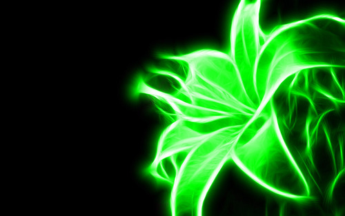 Neon-Green-Flower-green-20988898-500-313.jpg