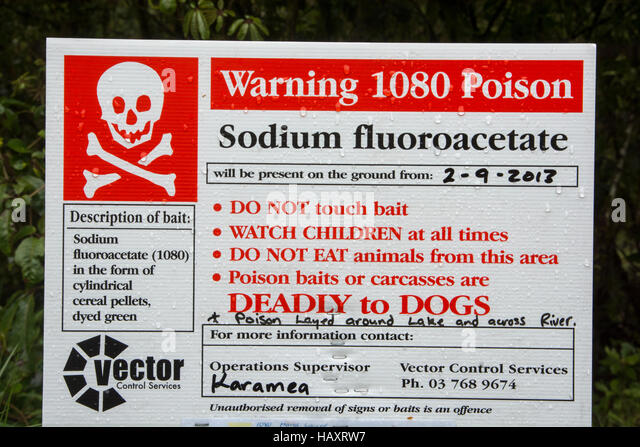 a-lot-of-1080-or-sodium-fluoroacetate-is-used-in-new-zealand-to-kill-haxrw7.jpg