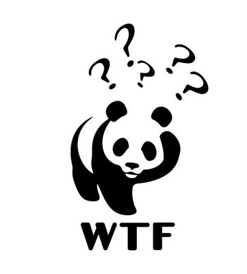 wwf-wtf-bear-presentation-questions.jpg
