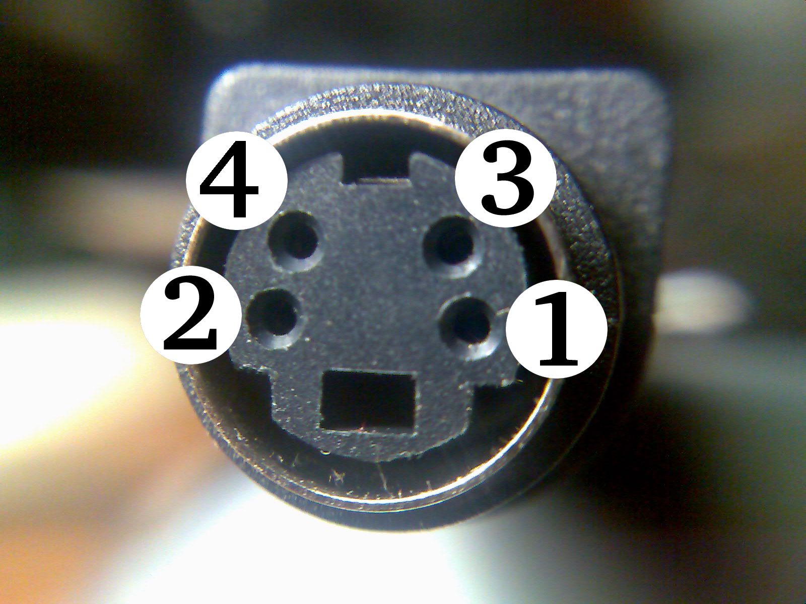 Close-up_of_S-video_female_connector.jpg