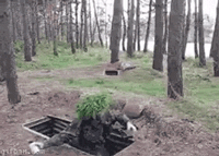 cool-gif-French-special-forces-forest.gif