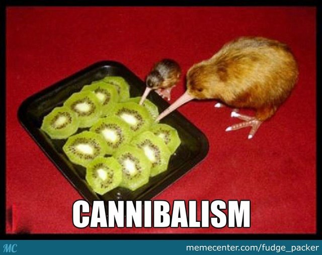 Cannibalism-Kiwifruit-Meme.jpg