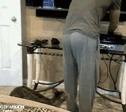 funny-gif-cat-biting-person-behind.gif