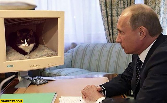 putin-staring-at-a-cat-inside-a-computer-screen-monitor.jpg
